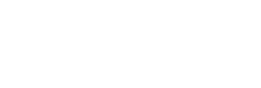 Prinz Detailing